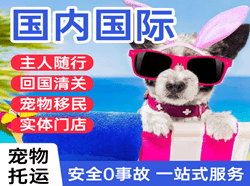 广州航空物流国际宠物托运 【国